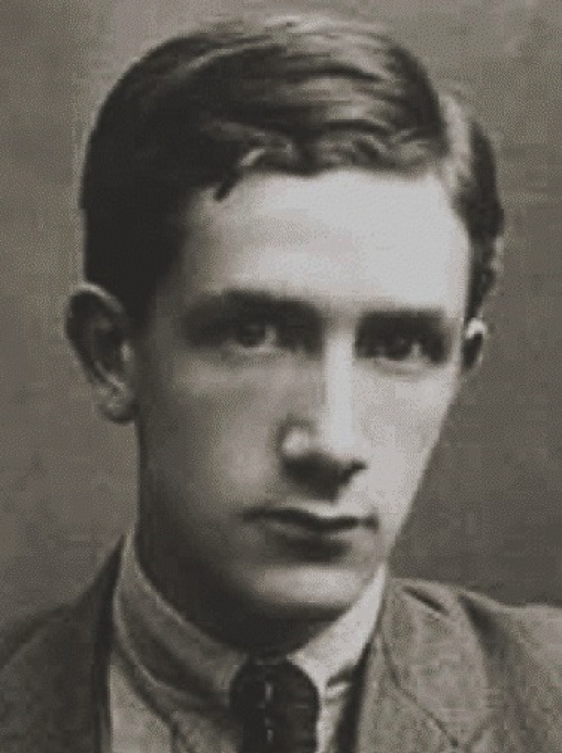 Ion Vinea