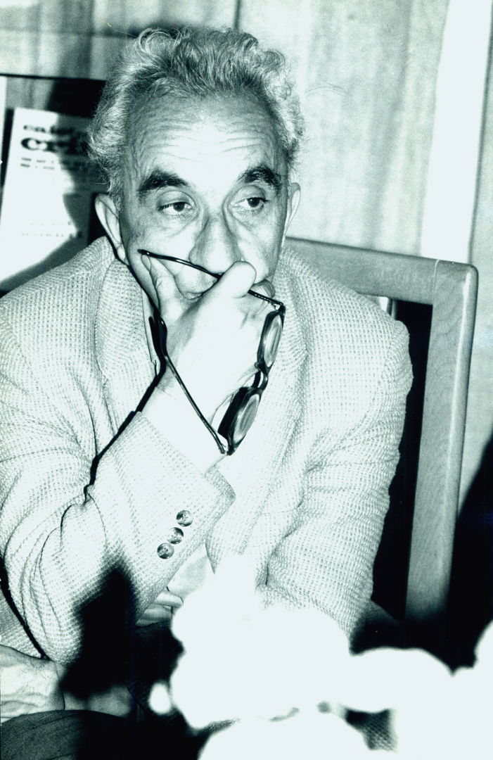 Mircea Ivănescu