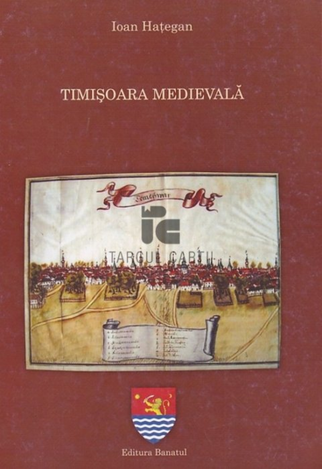 Timișoara medievală