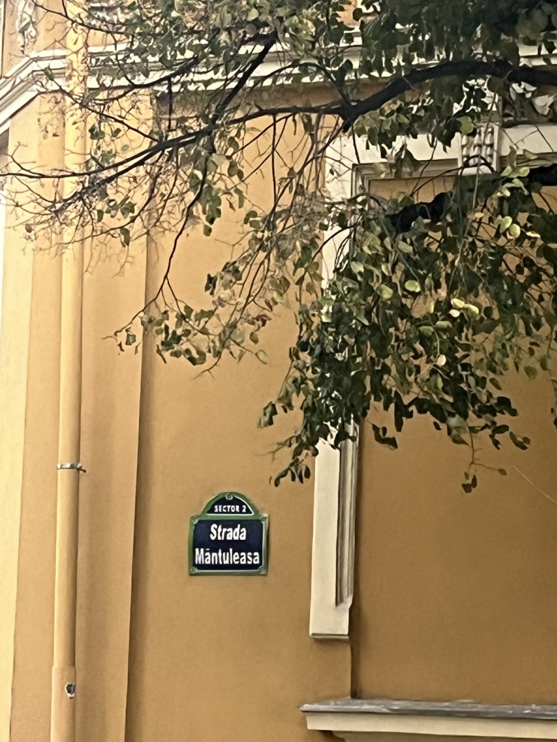Strada Mântuleasa