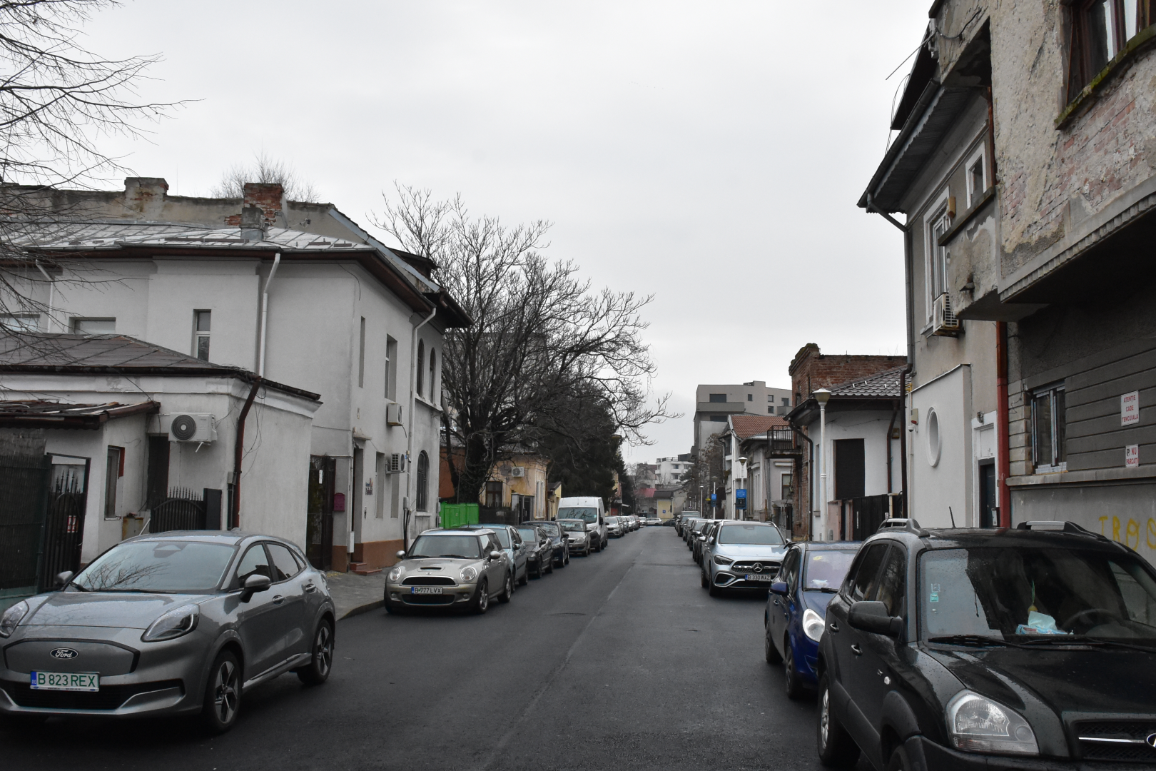 Strada Vișinilor