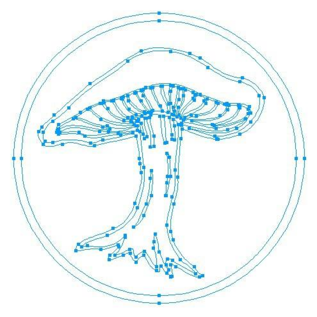 Web