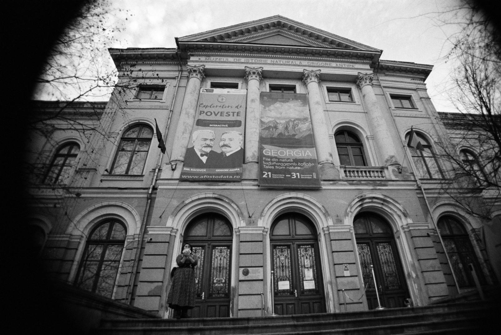 Muzeul Național de Istorie Naturală „Grigore Antipa”