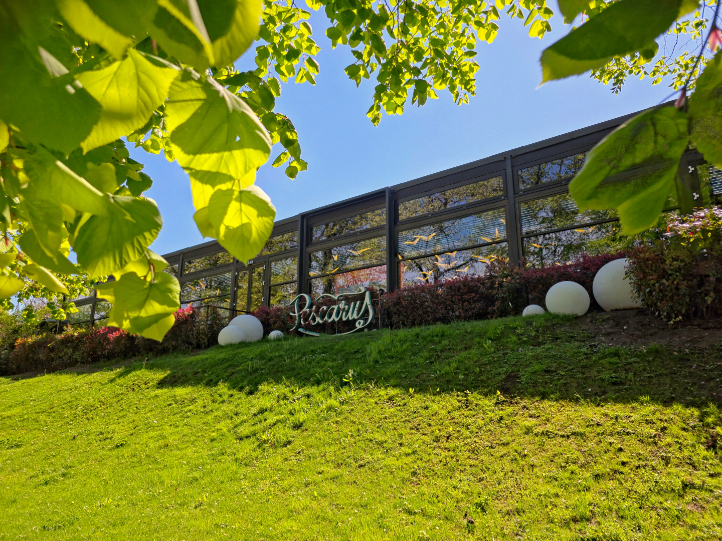 Restaurantul Pescăruș