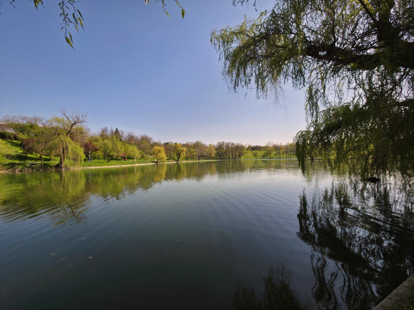 Parcul Tineretului