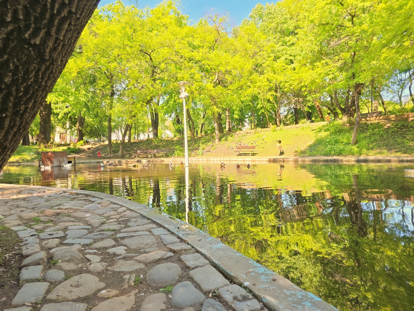 Parcul Kiseleff