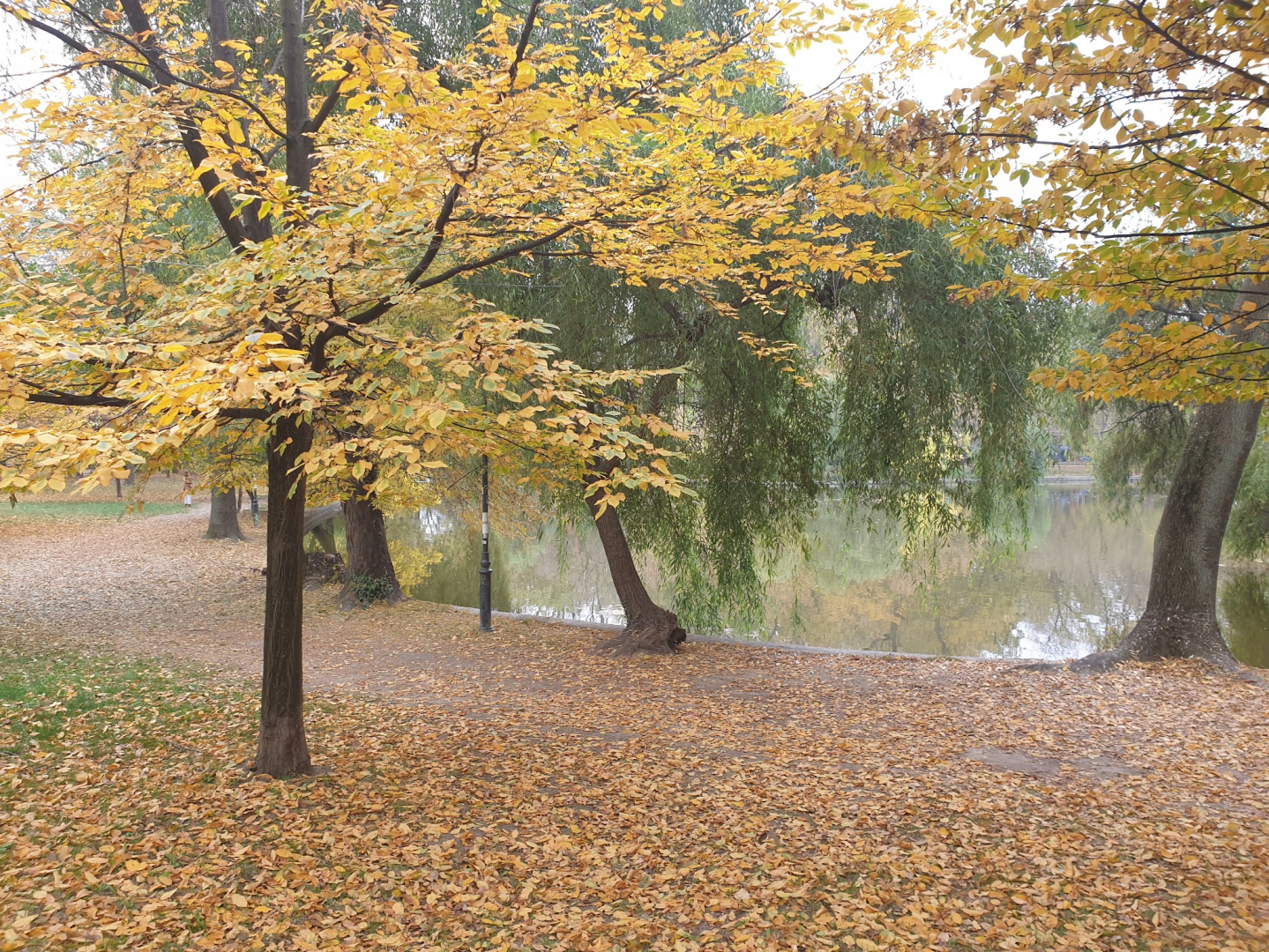 Parcul Cișmigiu