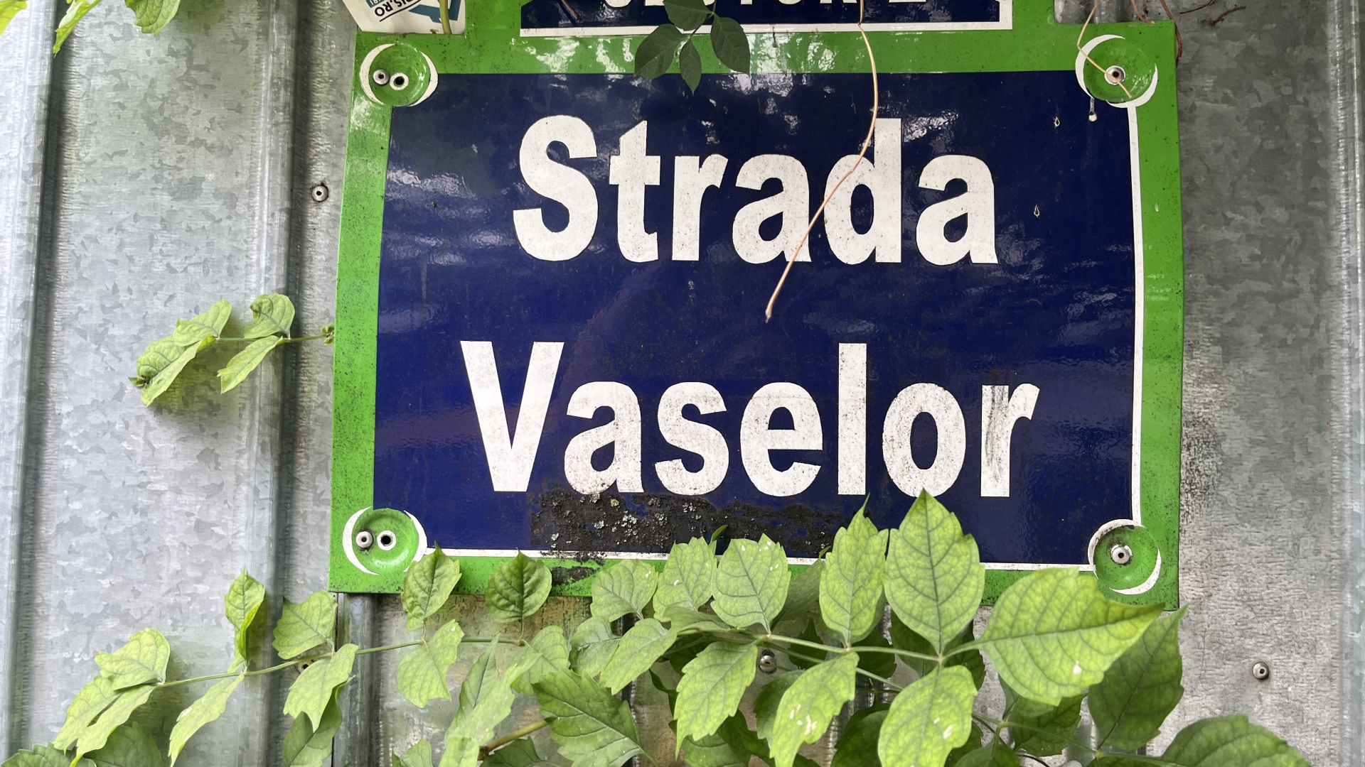 Strada Vaselor