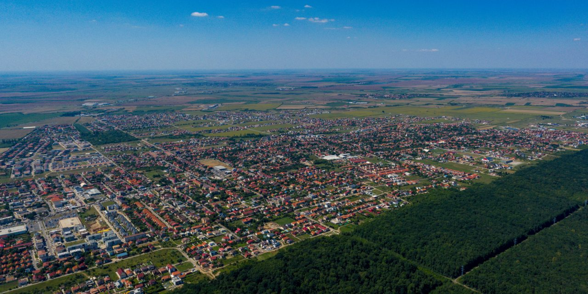 Pădurea Verde