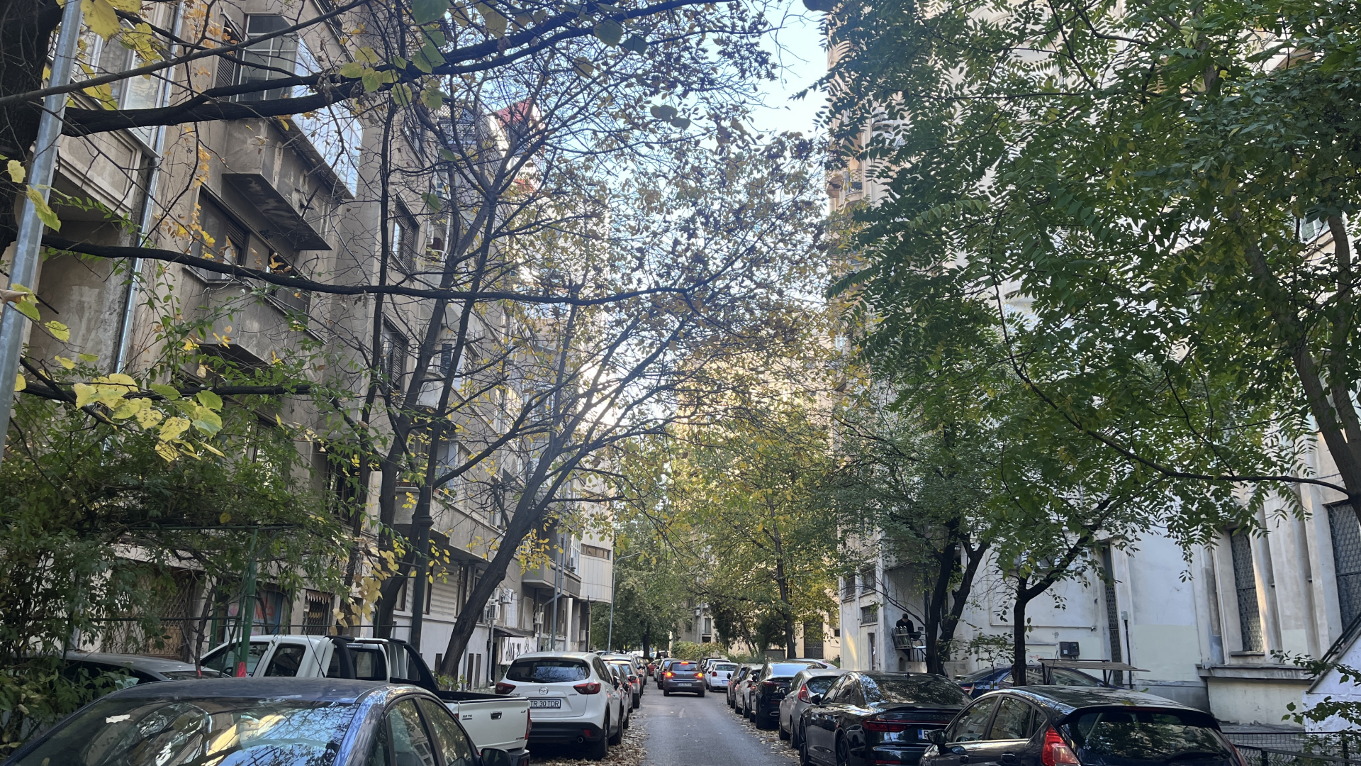 Strada Sfinții Apostoli